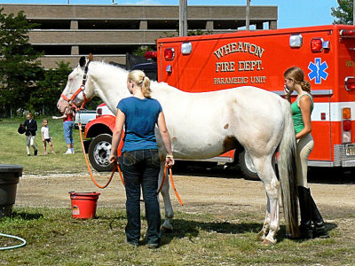 Before the Horse Show