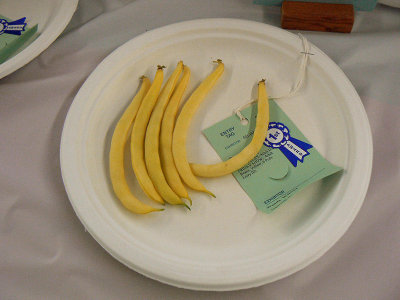 Wax Beans on White Plate--1st Prize