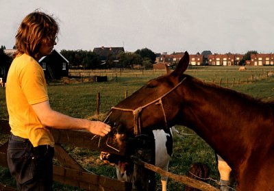 Farm Boy