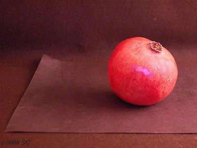 Pomegranate on Paper