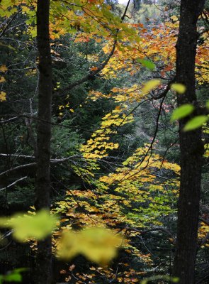 _DSC0859.JPG