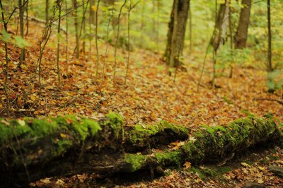 _DSC4066.JPG
