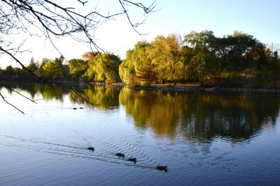 toogood pond park