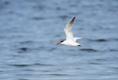 _DSC583820120624_090220.JPG
