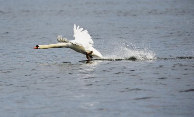 _DSC596120120624_100112.JPG