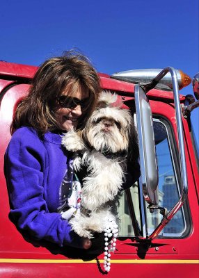 Krewe des Chiens