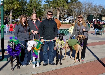 Krewe des Chiens