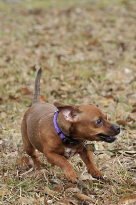 Annier=Run0488.jpg
