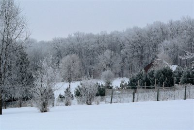 Hoarfrost