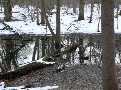 Patapsco Valley SP, MD