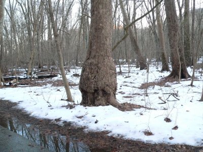 Patapsco Valley SP, MD