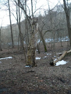 Patapsco Valley SP, MD