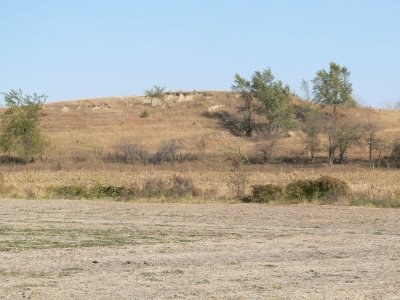 Jasper Co IA
landscape