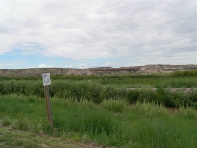 P1130436.jpg