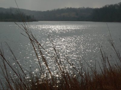 P1000438.jpg