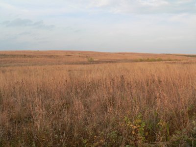 P1000344.jpg