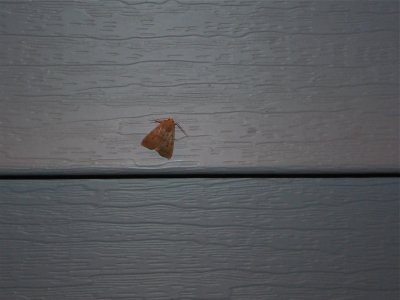 P1000240_2.jpg