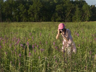 Photgraphing Blazing Start and Cone Flower