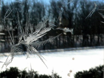 Frost on Window
below zero F
