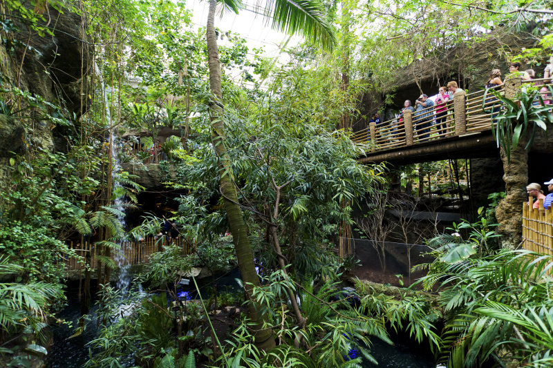 dallas world aquarium and zoological garden