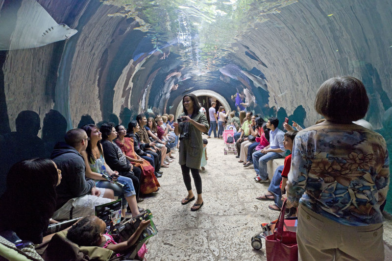 dallas world aquarium and zoological garden