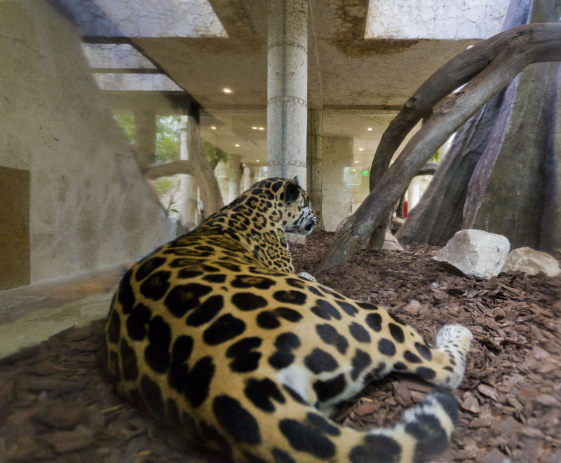 dallas world aquarium and zoological garden
