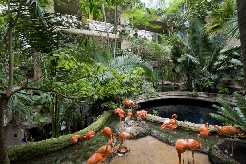 dallas world aquarium and zoological garden