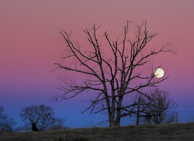 moonrise, walker family farm, oklahoma