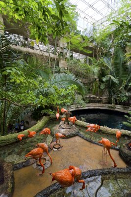 dallas world aquarium and zoological garden