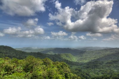 el yunque rain forest, puerto rico