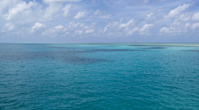 the great barrier reef