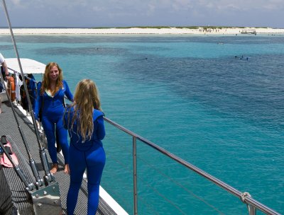 the great barrier reef