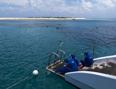 the great barrier reef