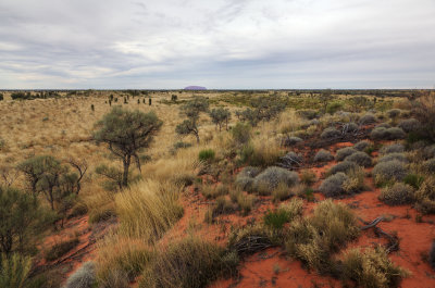 Uluru