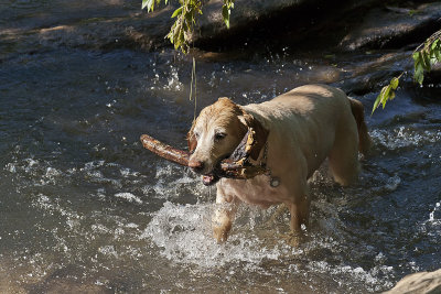 max (9 yrs)