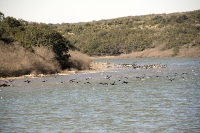 colorado river, buchanan, texas