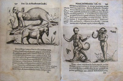 Human-Animal Hybridis