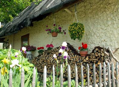 flower`s hut