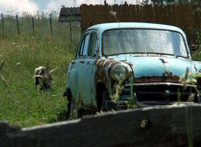 goat and old car