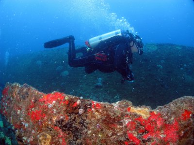 64_IMG_9830al.jpg