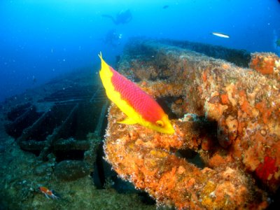 64_IMG_9849ac.jpg
