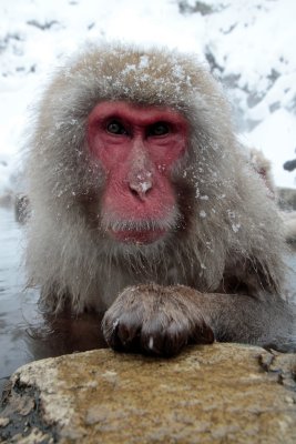 20110130 _MG_6678.jpg