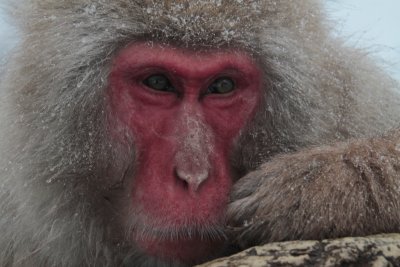 20110130 _MG_6793.jpg