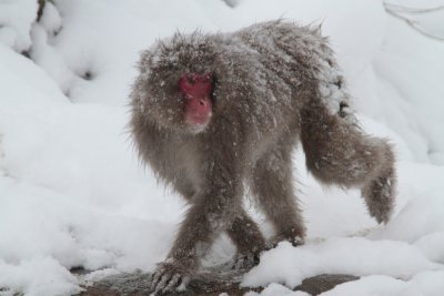 20110131 _MG_6833.jpg