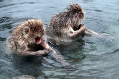 20110131 _MG_6972.jpg