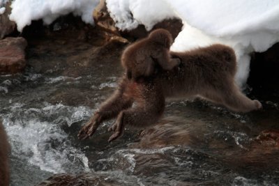 20110131 _MG_7134.jpg