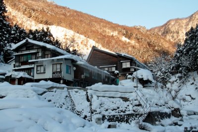 20110131 _MG_7221.jpg