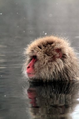 20110201 _MG_7442.jpg