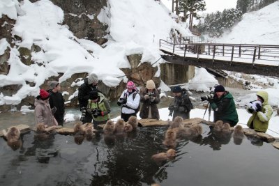 20110201 _MG_7449.jpg
