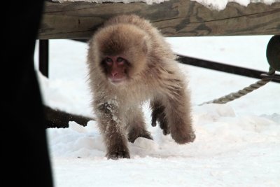 20110201 _MG_7543.jpg